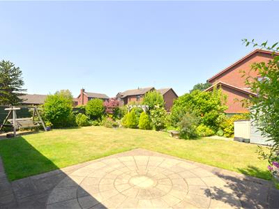 Picture 20